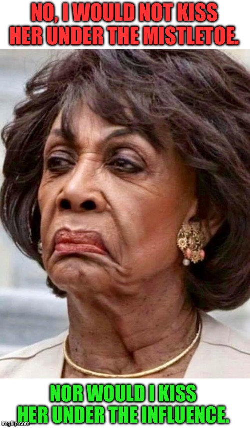 Yikes | NO, I WOULD NOT KISS HER UNDER THE MISTLETOE. NOR WOULD I KISS HER UNDER THE INFLUENCE. | image tagged in maxine waters | made w/ Imgflip meme maker