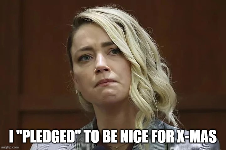 Amber's Promise for X-Mas | I "PLEDGED" TO BE NICE FOR X-MAS | image tagged in fun | made w/ Imgflip meme maker