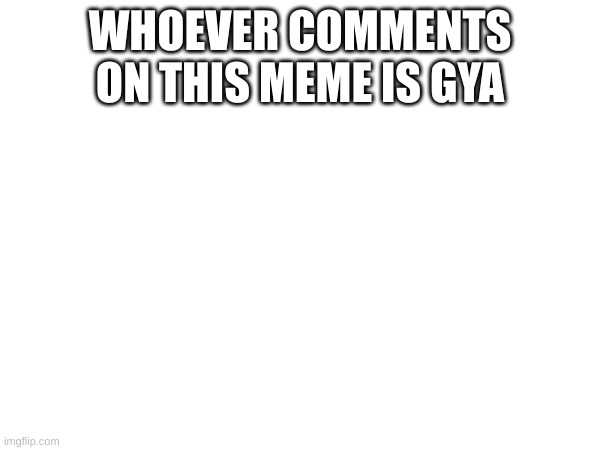 no comment | WHOEVER COMMENTS ON THIS MEME IS GYA | image tagged in fun,funny | made w/ Imgflip meme maker