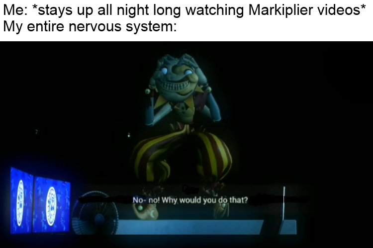 this actually just happened, it's 6 AM and i am-- D E A D | Me: *stays up all night long watching Markiplier videos*
My entire nervous system: | image tagged in why would you do that,markiplier,up all night | made w/ Imgflip meme maker