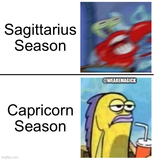 Sagittarius Season Vs Capricorn Season | Sagittarius Season; @WEAREMAGICK; Capricorn Season | image tagged in excited vs bored | made w/ Imgflip meme maker