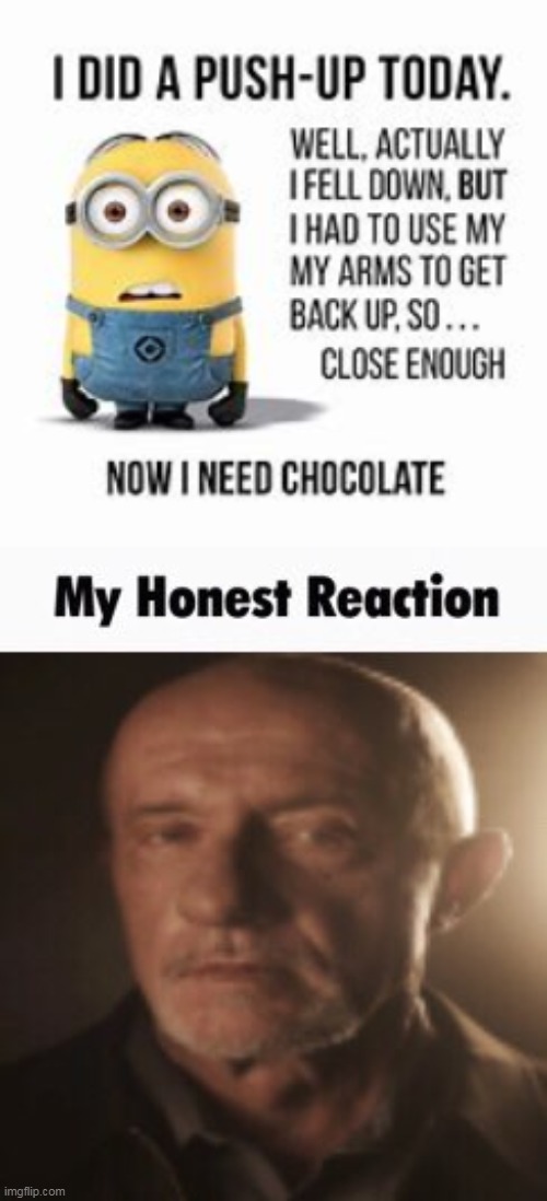 image tagged in my honest reaction | made w/ Imgflip meme maker