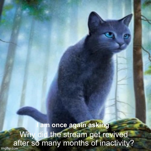 -_- | Why did the stream get revived after so many months of inactivity? | image tagged in bluestar is once again asking | made w/ Imgflip meme maker
