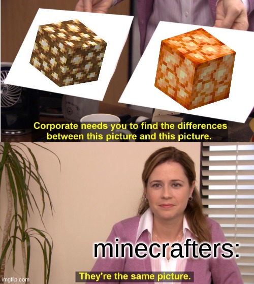 the diffrences between these two are almost not there | minecrafters: | image tagged in memes,they're the same picture | made w/ Imgflip meme maker