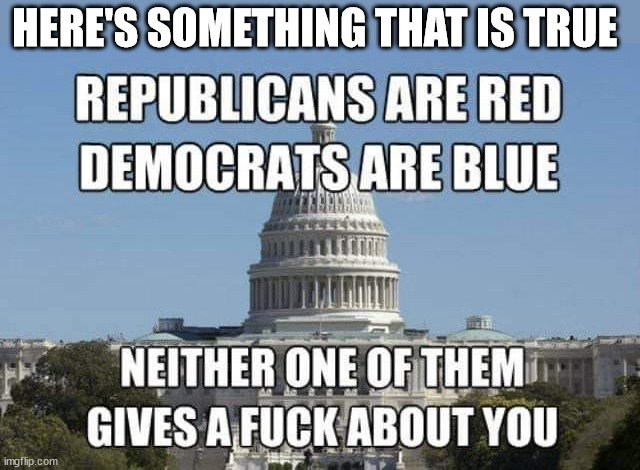 HERE'S SOMETHING THAT IS TRUE | image tagged in truth about american government | made w/ Imgflip meme maker