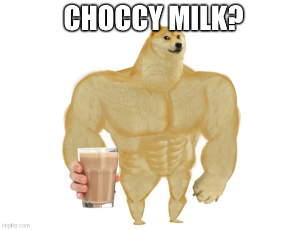 choccy milk | CHOCCY MILK? | image tagged in doge | made w/ Imgflip meme maker