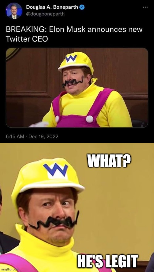 WORKS FOR ME | WHAT? HE'S LEGIT | image tagged in elon musk,wario,twitter,politics | made w/ Imgflip meme maker