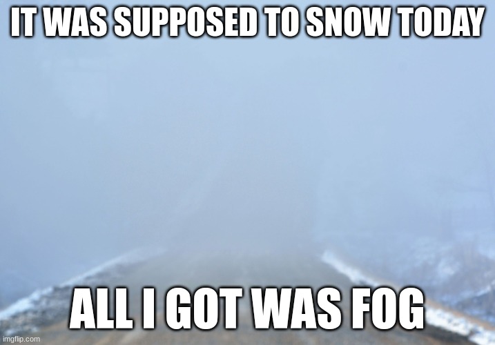 based on a true story | IT WAS SUPPOSED TO SNOW TODAY; ALL I GOT WAS FOG | image tagged in into the fog | made w/ Imgflip meme maker