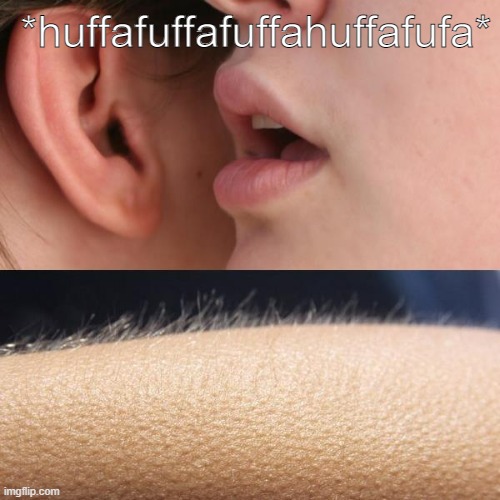 warm air in your ear hole | *huffafuffafuffahuffafufa* | image tagged in whisper and goosebumps,every time,shiver,breath | made w/ Imgflip meme maker