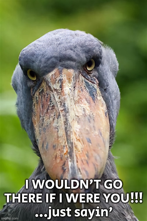 Don t Go There Imgflip