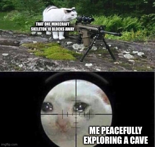 Skeleton have snipers, not bows because there is no way they can hit you that far like that | THAT ONE MINECRAFT SKELETON 10 BLOCKS AWAY; ME PEACEFULLY EXPLORING A CAVE | image tagged in sniper cat | made w/ Imgflip meme maker