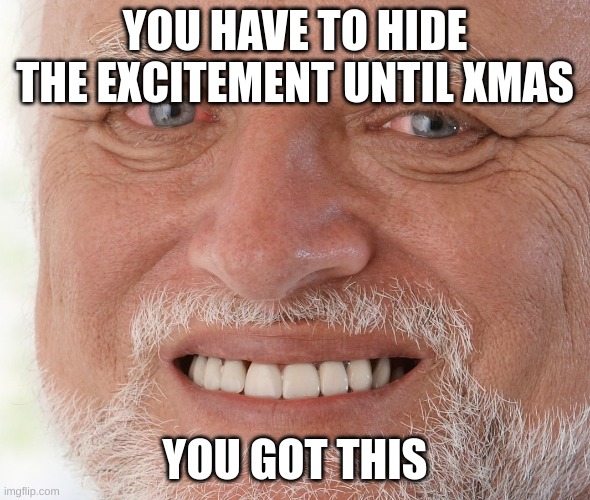 3 days, Merry Christmas | YOU HAVE TO HIDE THE EXCITEMENT UNTIL XMAS; YOU GOT THIS | image tagged in hide the pain harold | made w/ Imgflip meme maker