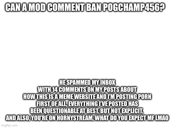 Annoying little kid(mod:show me link) | HE SPAMMED MY INBOX WITH 14 COMMENTS ON MY POSTS ABOUT HOW THIS IS A MEME WEBSITE AND I’M POSTING PORN

FIRST OF ALL, EVERYTHING I’VE POSTED HAS BEEN QUESTIONABLE AT BEST, BUT NOT EXPLICIT. 

AND ALSO, YOU’RE ON HORNYSTREAM, WHAT DO YOU EXPECT MF LMAO; CAN A MOD COMMENT BAN POGCHAMP456? | image tagged in blank white template | made w/ Imgflip meme maker