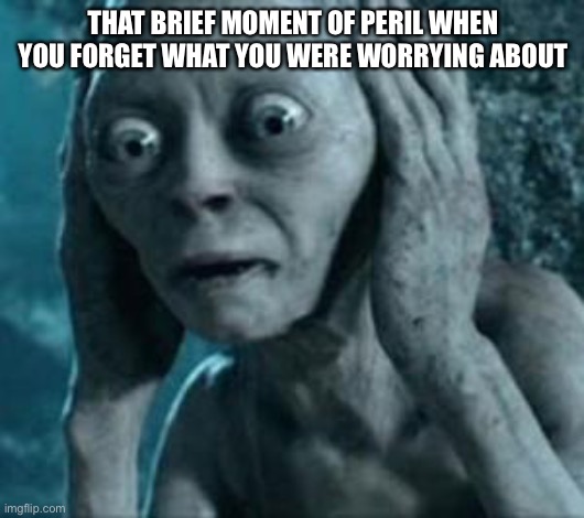terrifying | THAT BRIEF MOMENT OF PERIL WHEN YOU FORGET WHAT YOU WERE WORRYING ABOUT | image tagged in scared gollum | made w/ Imgflip meme maker