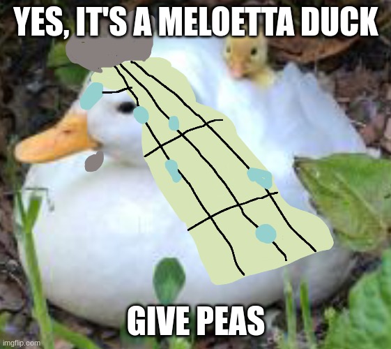 melo-duck | YES, IT'S A MELOETTA DUCK; GIVE PEAS | image tagged in pokemon,meloetta,duck,fusion | made w/ Imgflip meme maker