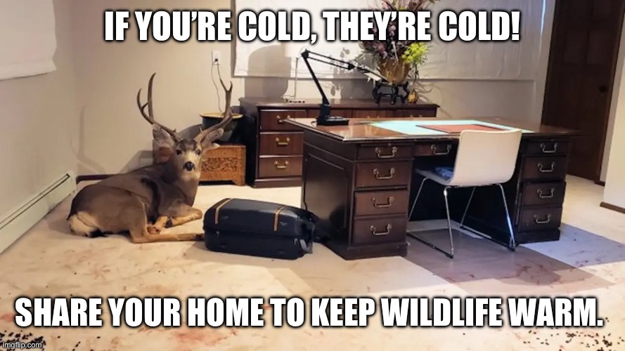 IF YOU’RE COLD, THEY’RE COLD! SHARE YOUR HOME TO KEEP WILDLIFE WARM. | image tagged in Montana | made w/ Imgflip meme maker