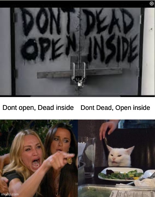 What do you see? | Dont open, Dead inside; Dont Dead, Open inside | image tagged in memes,woman yelling at cat | made w/ Imgflip meme maker