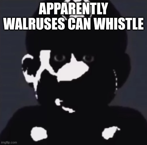 Gabriel | APPARENTLY WALRUSES CAN WHISTLE | image tagged in gabriel | made w/ Imgflip meme maker