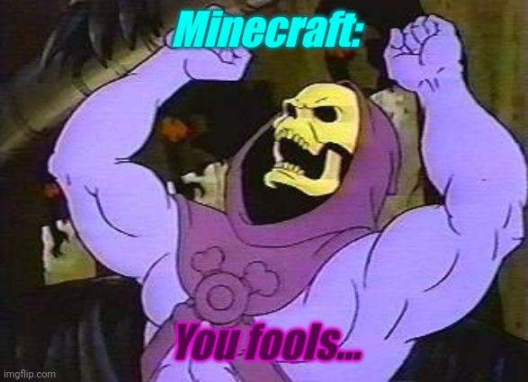 You Fool Skeletor | Minecraft: You fools... | image tagged in you fool skeletor | made w/ Imgflip meme maker