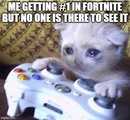 Sad gaming cat | ME GETTING #1 IN FORTNITE BUT NO ONE IS THERE TO SEE IT | image tagged in sad gaming cat,number 1,the winner,fortnite sucks btw | made w/ Imgflip meme maker