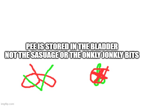 fun facts | PEE IS STORED IN THE BLADDER NOT THE SASUAGE OR THE ONKLY JONKLY BITS | made w/ Imgflip meme maker