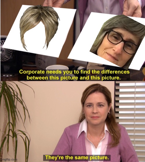 They're The Same Picture | image tagged in memes,they're the same picture | made w/ Imgflip meme maker