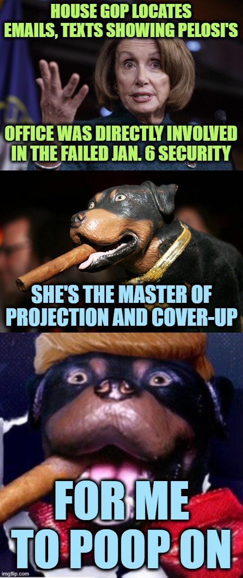 The Cover-up Always Gets You |  HOUSE GOP LOCATES EMAILS, TEXTS SHOWING PELOSI'S; OFFICE WAS DIRECTLY INVOLVED IN THE FAILED JAN. 6 SECURITY; SHE'S THE MASTER OF PROJECTION AND COVER-UP; FOR ME TO POOP ON | image tagged in good old nancy pelosi,triumph the insult dog | made w/ Imgflip meme maker