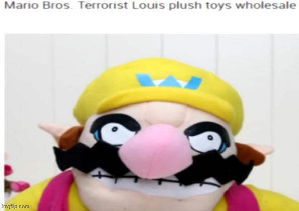 TERRORIST LOUIS | made w/ Imgflip meme maker