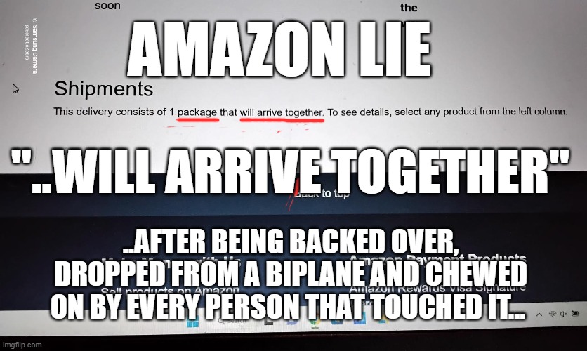 AMAZON SUCKS | AMAZON LIE; "..WILL ARRIVE TOGETHER"; ..AFTER BEING BACKED OVER, DROPPED FROM A BIPLANE AND CHEWED ON BY EVERY PERSON THAT TOUCHED IT... | image tagged in delivery | made w/ Imgflip meme maker