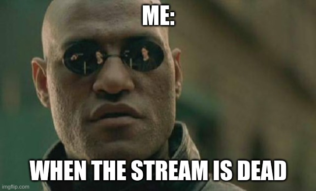 ;p; | ME:; WHEN THE STREAM IS DEAD | image tagged in memes,matrix morpheus | made w/ Imgflip meme maker
