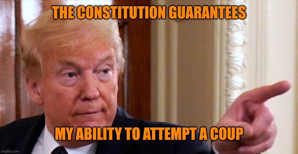 Trump pointing | THE CONSTITUTION GUARANTEES MY ABILITY TO ATTEMPT A COUP | image tagged in trump pointing | made w/ Imgflip meme maker