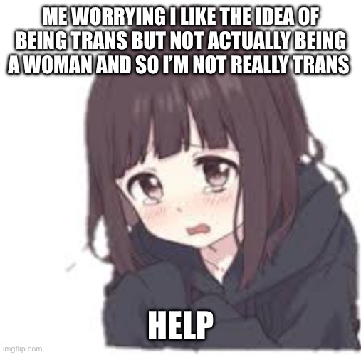 dysphoria hoodie egg irl anime girl | ME WORRYING I LIKE THE IDEA OF BEING TRANS BUT NOT ACTUALLY BEING A WOMAN AND SO I’M NOT REALLY TRANS; HELP | image tagged in dysphoria hoodie egg irl anime girl | made w/ Imgflip meme maker