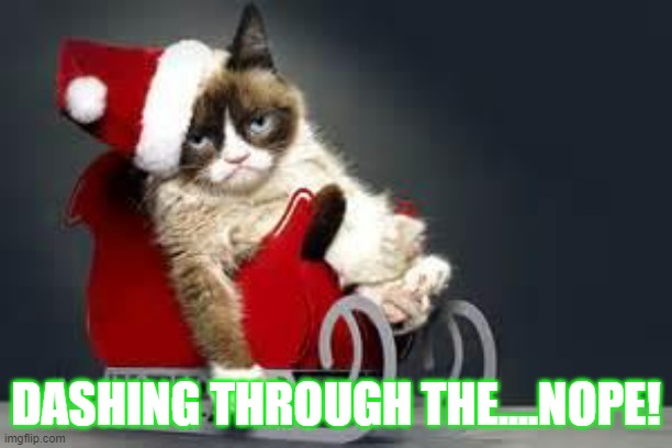Dashing Through the...NOPE! | DASHING THROUGH THE....NOPE! | image tagged in grumpy cat christmas | made w/ Imgflip meme maker
