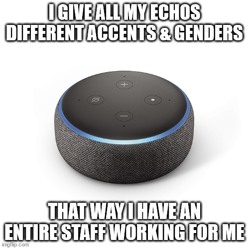 Diversity |  I GIVE ALL MY ECHOS DIFFERENT ACCENTS & GENDERS; THAT WAY I HAVE AN ENTIRE STAFF WORKING FOR ME | image tagged in amazon,echo,alexa,diversity,staff | made w/ Imgflip meme maker