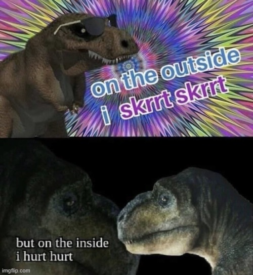 On the outside I skrrt skrrt but on the inside I hurt hurt | image tagged in on the outside i skrrt skrrt but on the inside i hurt hurt | made w/ Imgflip meme maker