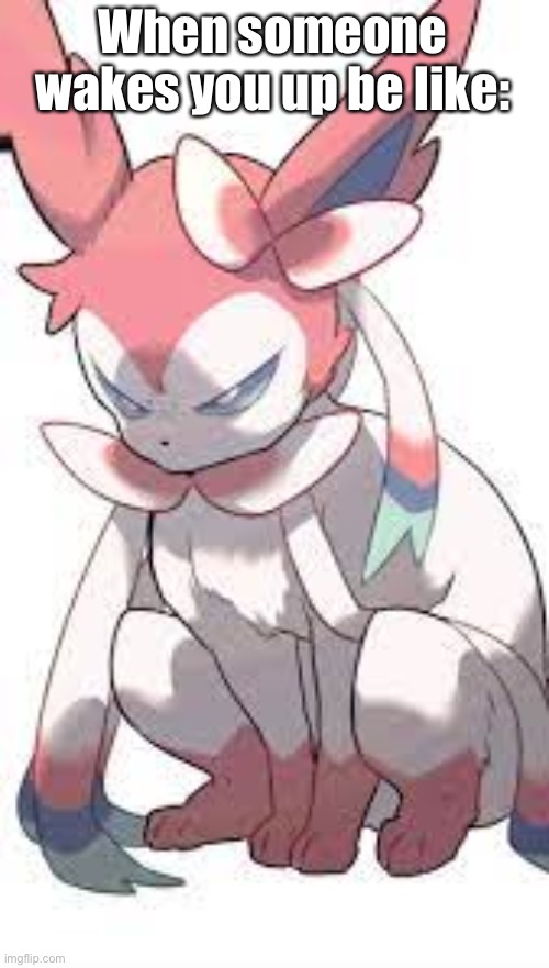 Upset Sylveon | When someone wakes you up be like: | image tagged in upset sylveon | made w/ Imgflip meme maker