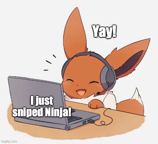 Gaming Eevee | Yay! I just sniped Ninja! | image tagged in gaming eevee | made w/ Imgflip meme maker