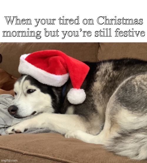 When your tired on Christmas morning but you’re still festive | image tagged in image tags | made w/ Imgflip meme maker