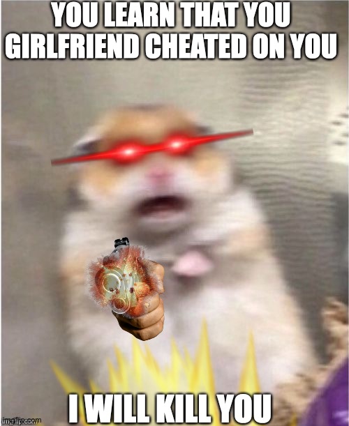 YOU LEARN THAT YOU GIRLFRIEND CHEATED ON YOU; I WILL KILL YOU | image tagged in hamster,gf,freind | made w/ Imgflip meme maker