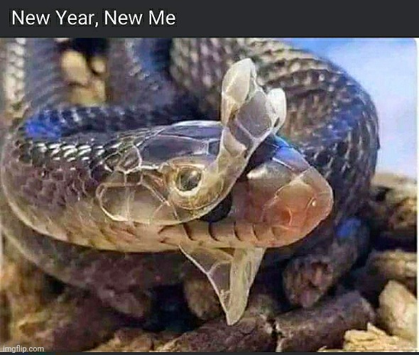 HAPPY NEW YEAR | image tagged in ohio,memes,troll,happy new year,solid snake,marvel cinematic universe | made w/ Imgflip meme maker