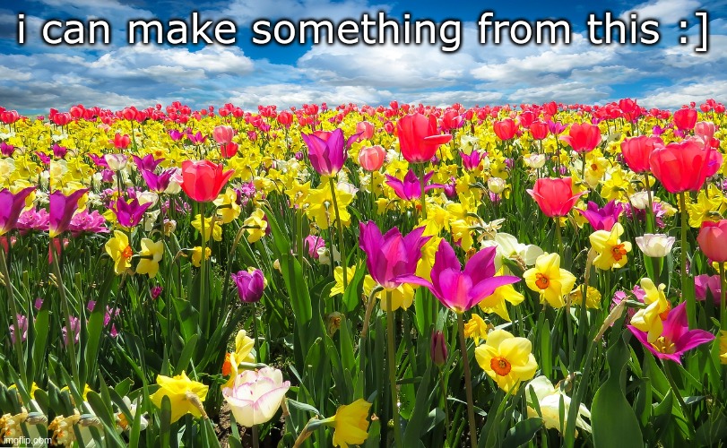 dreamcore ooooooo | i can make something from this :] | image tagged in flower power | made w/ Imgflip meme maker