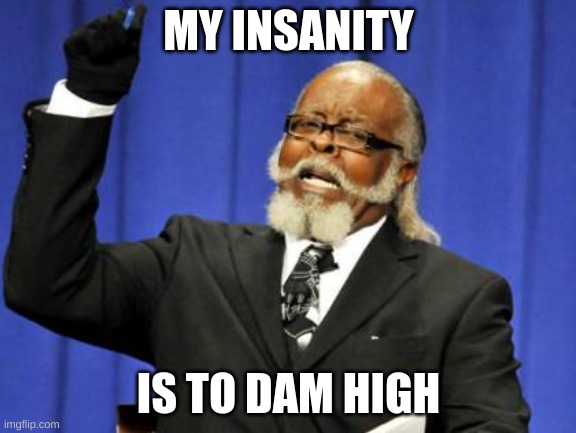 :) | MY INSANITY; IS TO DAM HIGH | image tagged in memes,too damn high | made w/ Imgflip meme maker