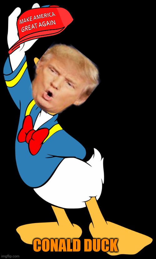 Conald Duck | CONALD DUCK | image tagged in donald duck | made w/ Imgflip meme maker