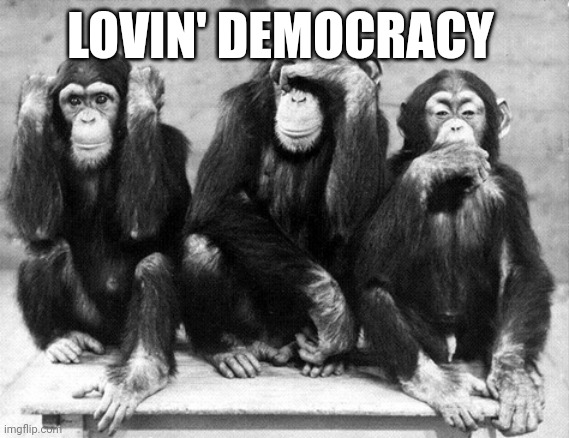 Loving democracy | LOVIN' DEMOCRACY | image tagged in three wise monkeys | made w/ Imgflip meme maker