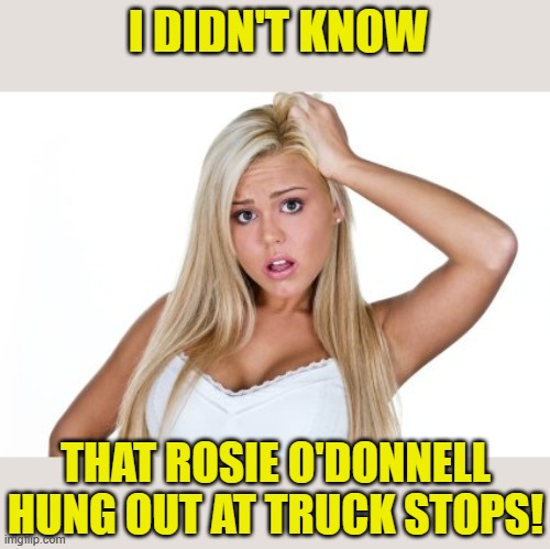 Dumb Blonde | I DIDN'T KNOW THAT ROSIE O'DONNELL HUNG OUT AT TRUCK STOPS! | image tagged in dumb blonde | made w/ Imgflip meme maker