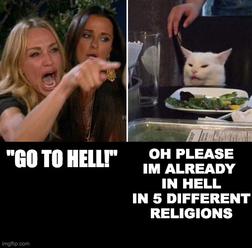 Angry lady cat |  OH PLEASE IM ALREADY 
IN HELL IN 5 DIFFERENT RELIGIONS; "GO TO HELL!" | image tagged in angry lady cat | made w/ Imgflip meme maker