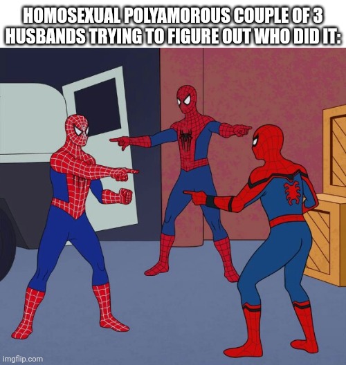 Spider Man Triple | HOMOSEXUAL POLYAMOROUS COUPLE OF 3 HUSBANDS TRYING TO FIGURE OUT WHO DID IT: | image tagged in spider man triple | made w/ Imgflip meme maker