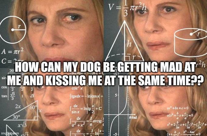 Calculating meme | HOW CAN MY DOG BE GETTING MAD AT
ME AND KISSING ME AT THE SAME TIME?? | image tagged in calculating meme | made w/ Imgflip meme maker