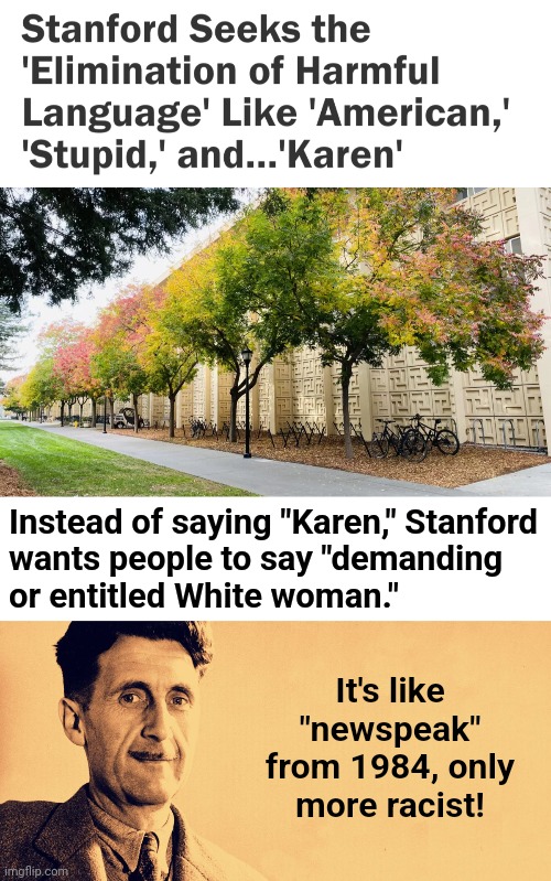After criticism, Stanford hid their newspeak dictionary in a password-protected web site | Instead of saying "Karen," Stanford
wants people to say "demanding
or entitled White woman."; It's like "newspeak" from 1984, only
more racist! | image tagged in george orwell,stanford,newspeak,democrats,censorship,liberals | made w/ Imgflip meme maker