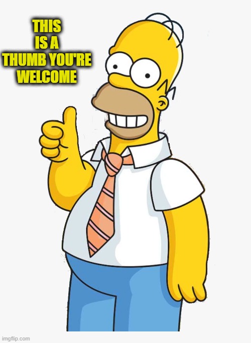 homer | THIS IS A THUMB YOU'RE WELCOME | image tagged in homer | made w/ Imgflip meme maker